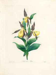 Sabot des Alpes, gravé par Langlois, de 